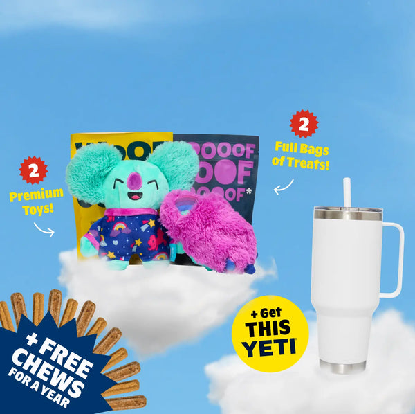 Don’t Let This Deal Run Dry!