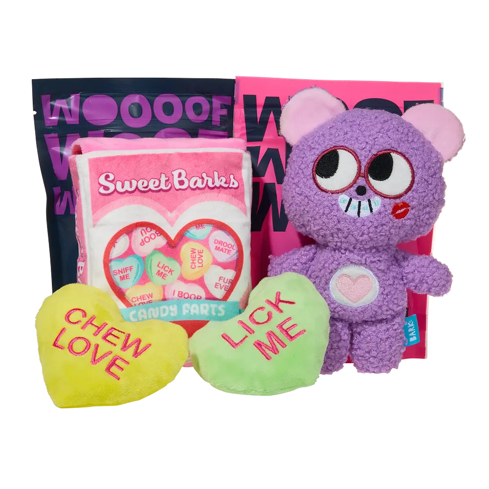 BARK 12 Month Subscription