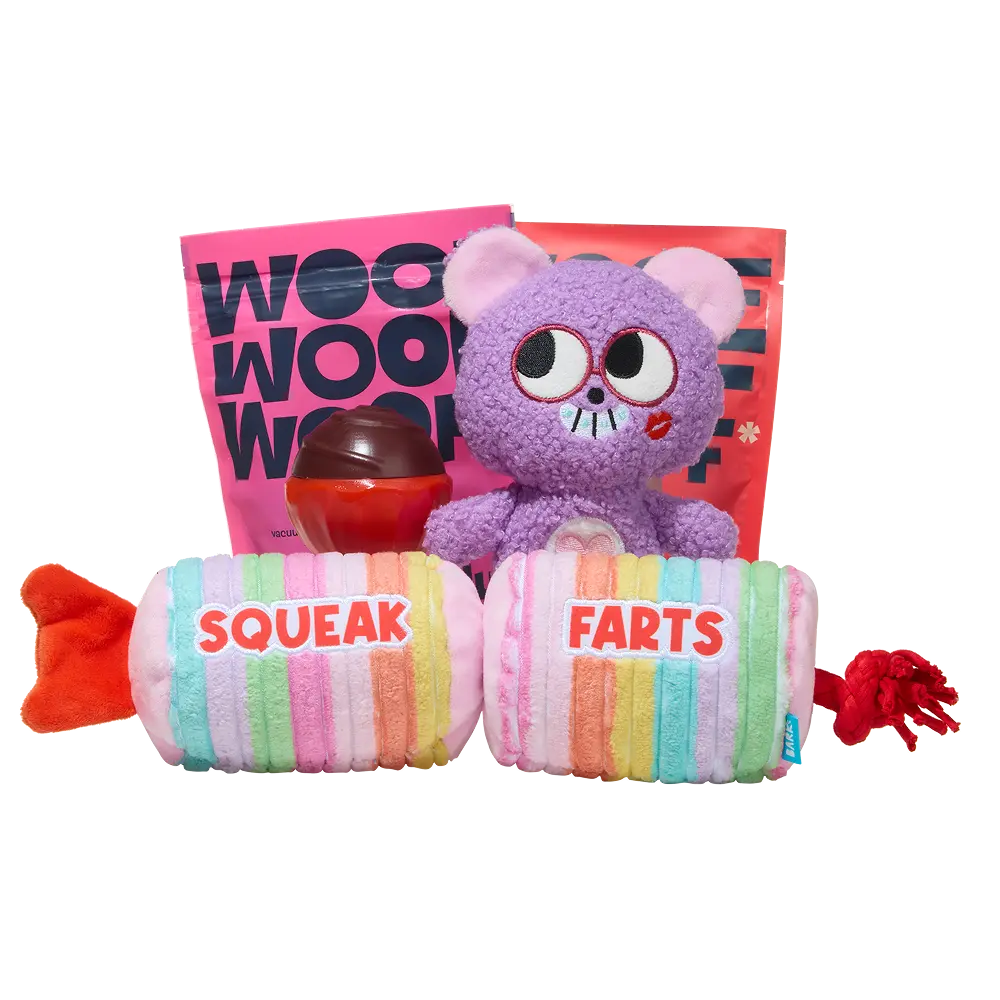 BARK 12 Month Subscription - FREE Extra Toys