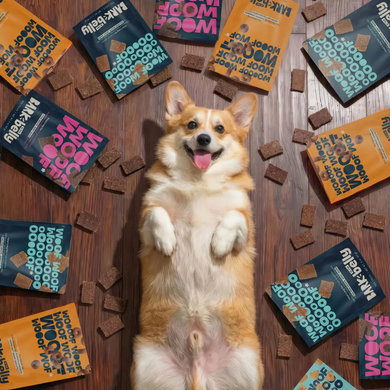 Dog Joy Delivered Every Month