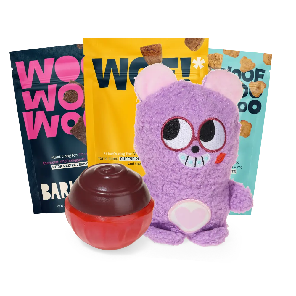 BARK 12 Month Subscription - FREE Extra Treats