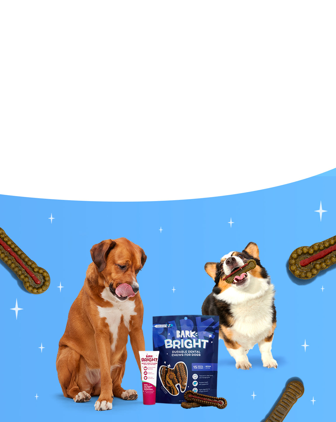 Super dog pet food hot sale company