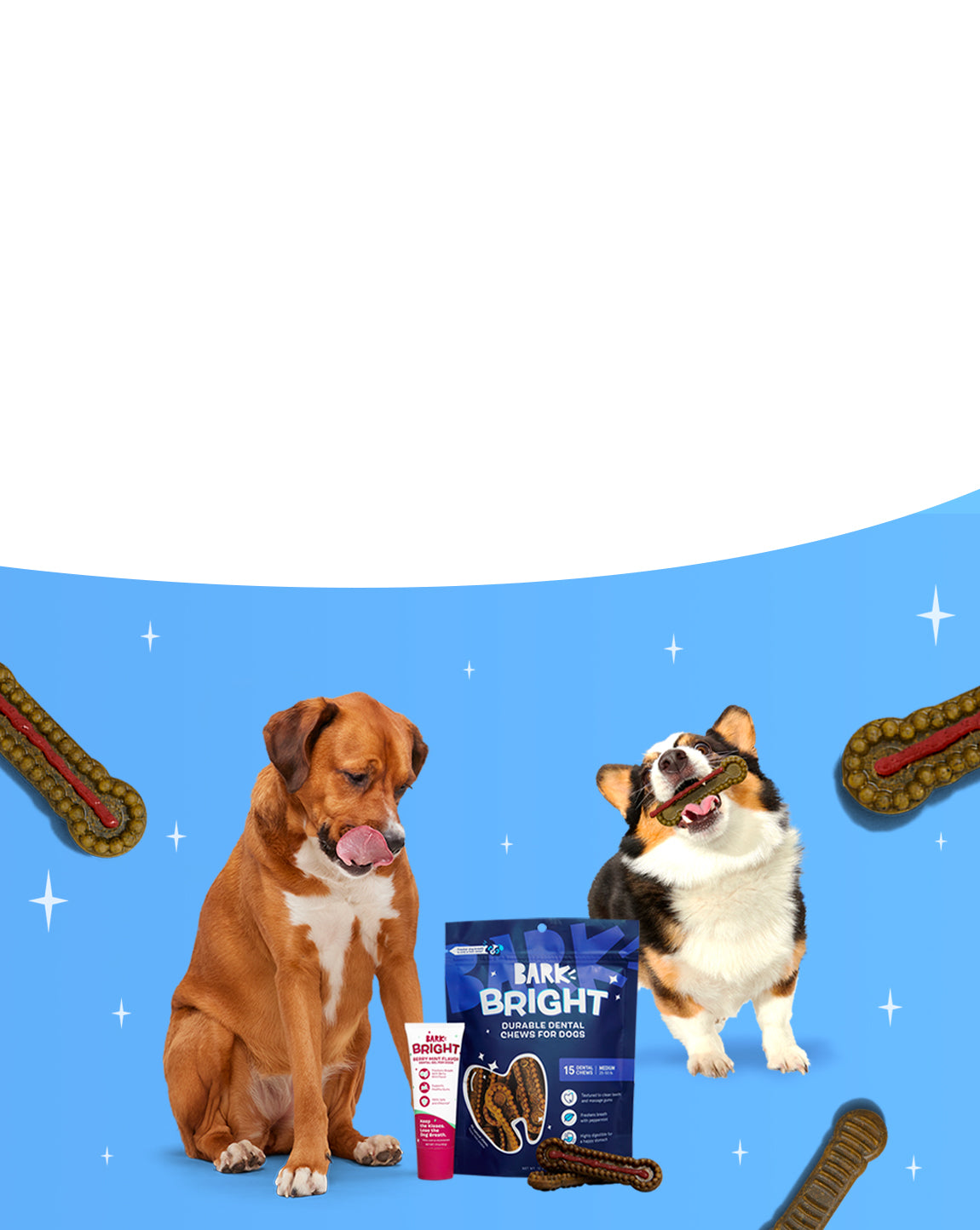 BARK: Shop BarkBox, Food, Toppers, Treats, Dental, Toys and more!