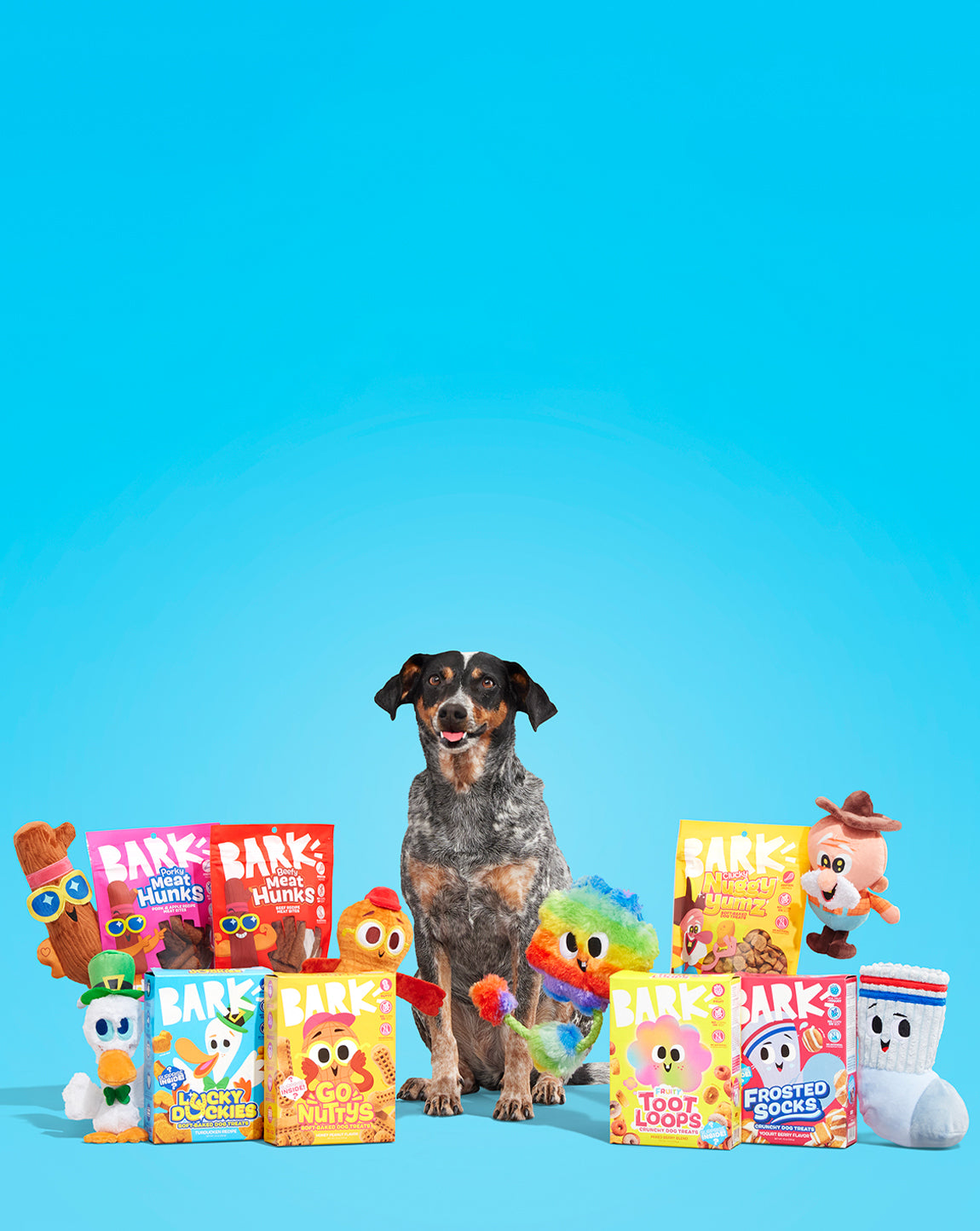 Shop barkbox new arrivals