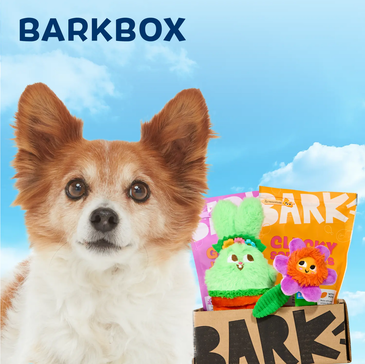 Barkbox Boxes BARK Dog Subscription Box | Dog Toys, Treats, & Fun Delivered