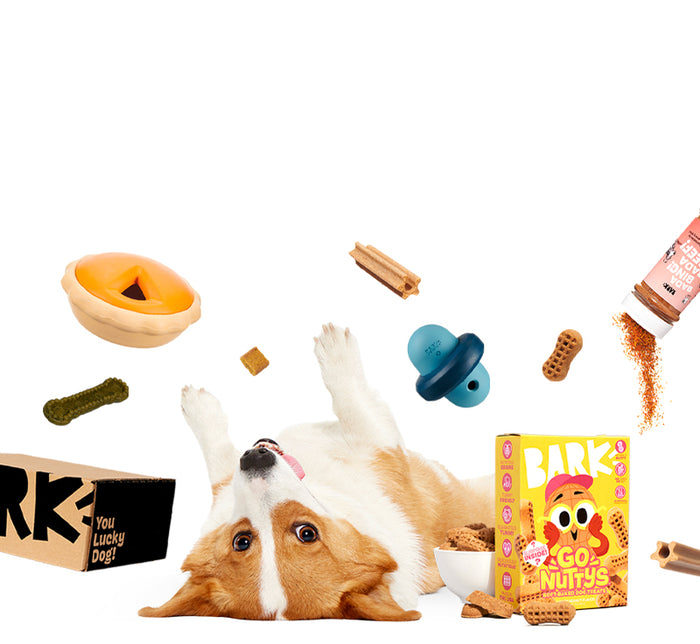 All BARK Products Dog Toys Subscription Boxes Dog Treats Food all-bark-products-dog-toys-subscription-boxes-dog-treats-food