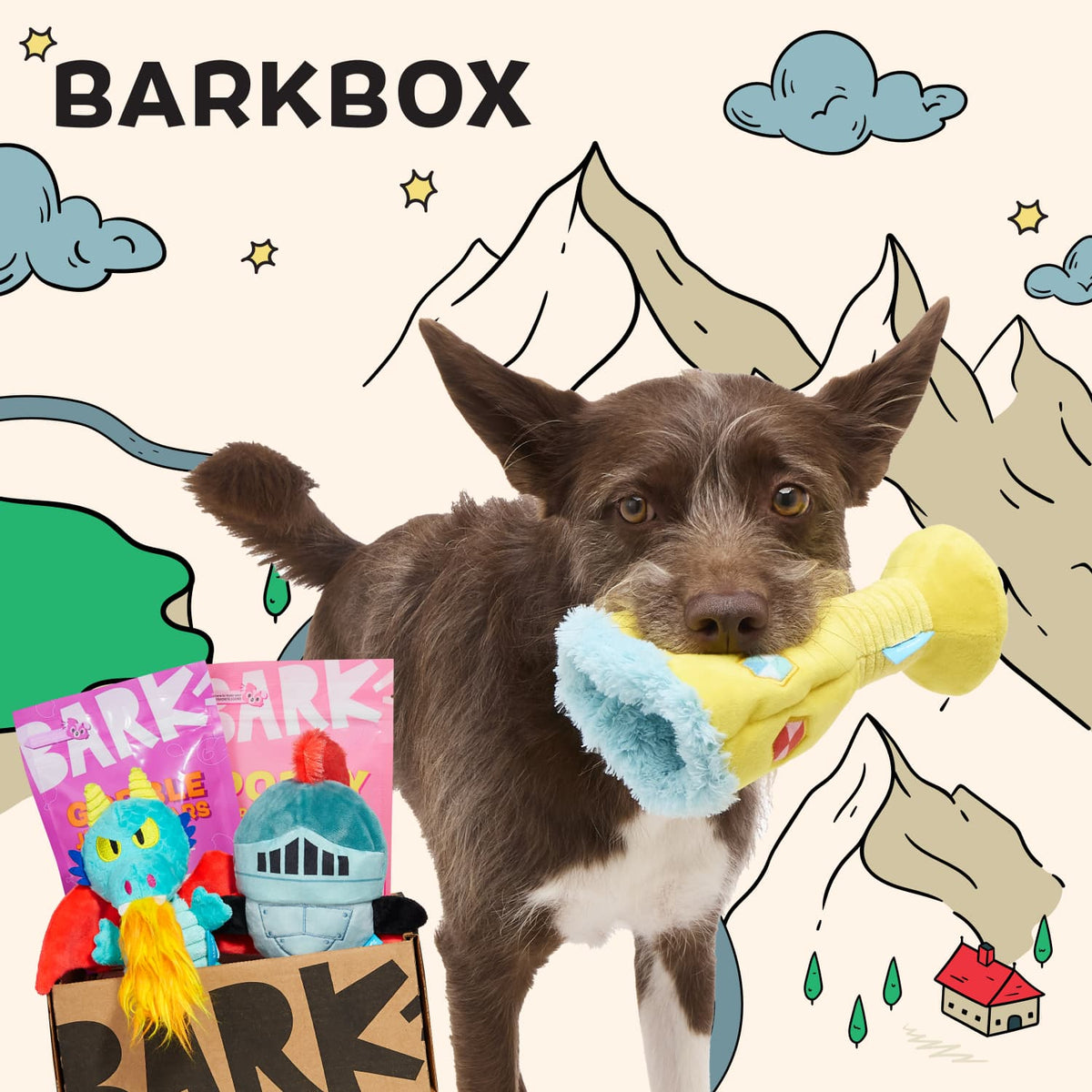 Barkbox Boxes BARK Dog Subscription Box | Dog Toys, Treats, & Fun Delivered