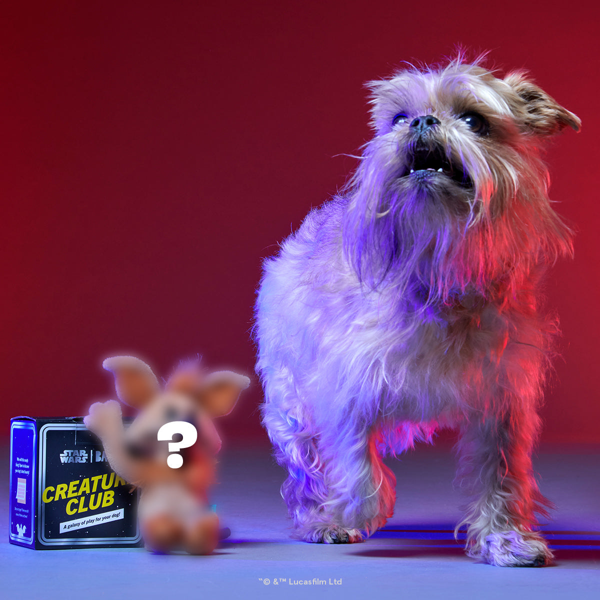 Star Wars™ Creature Club, Plush Monthly Dog Toys