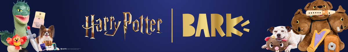 HARRY POTTER™