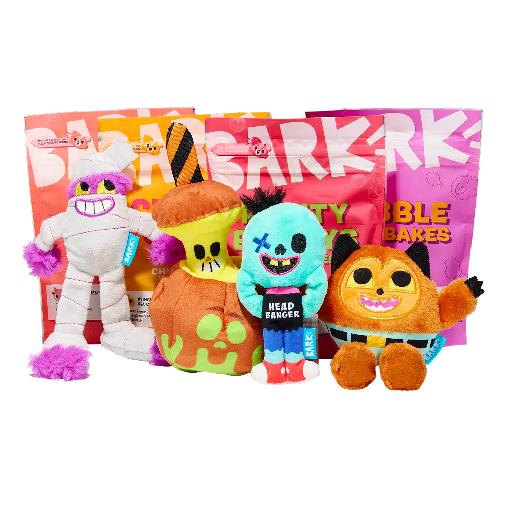 BARK Monthly Subscription + Cardboard Box