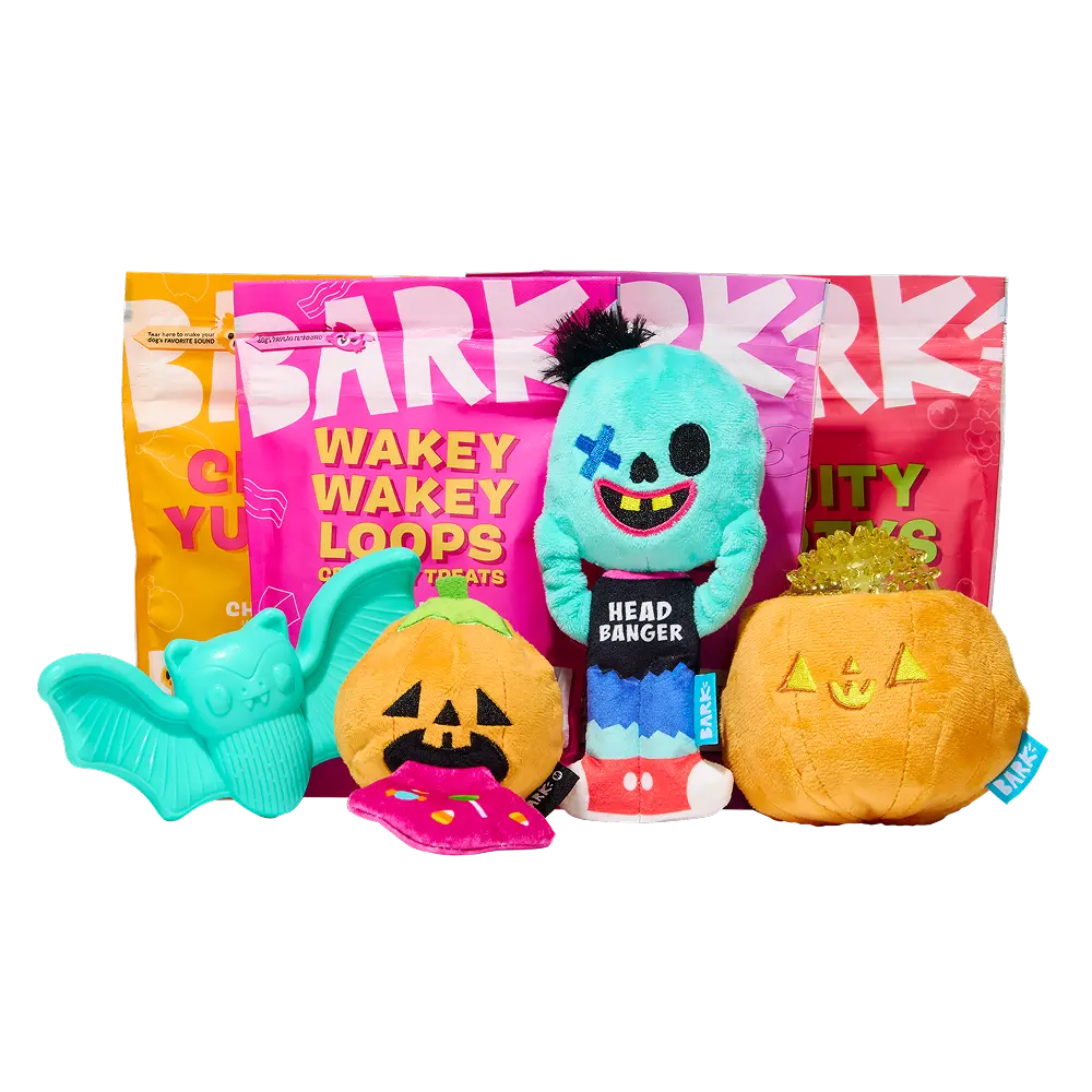 BARK Monthly Subscription + Cardboard Box