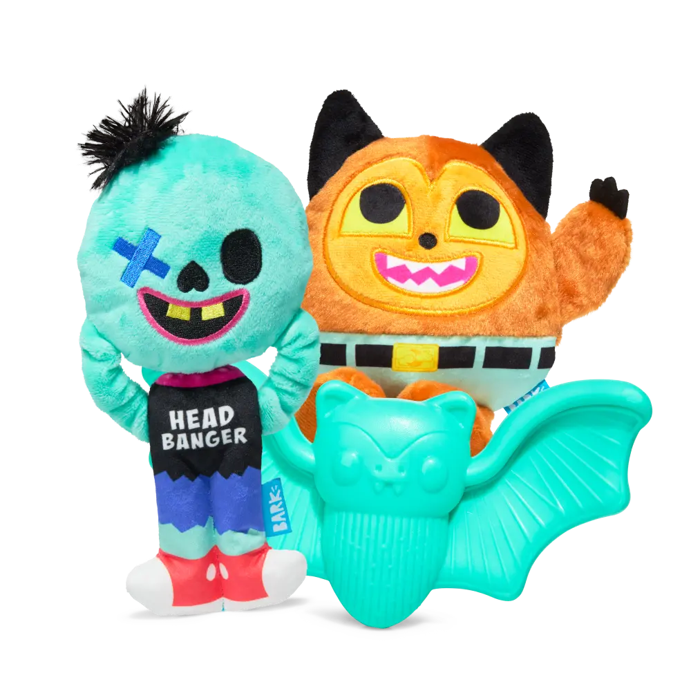 BARK Monthly Subscription + Cardboard Box