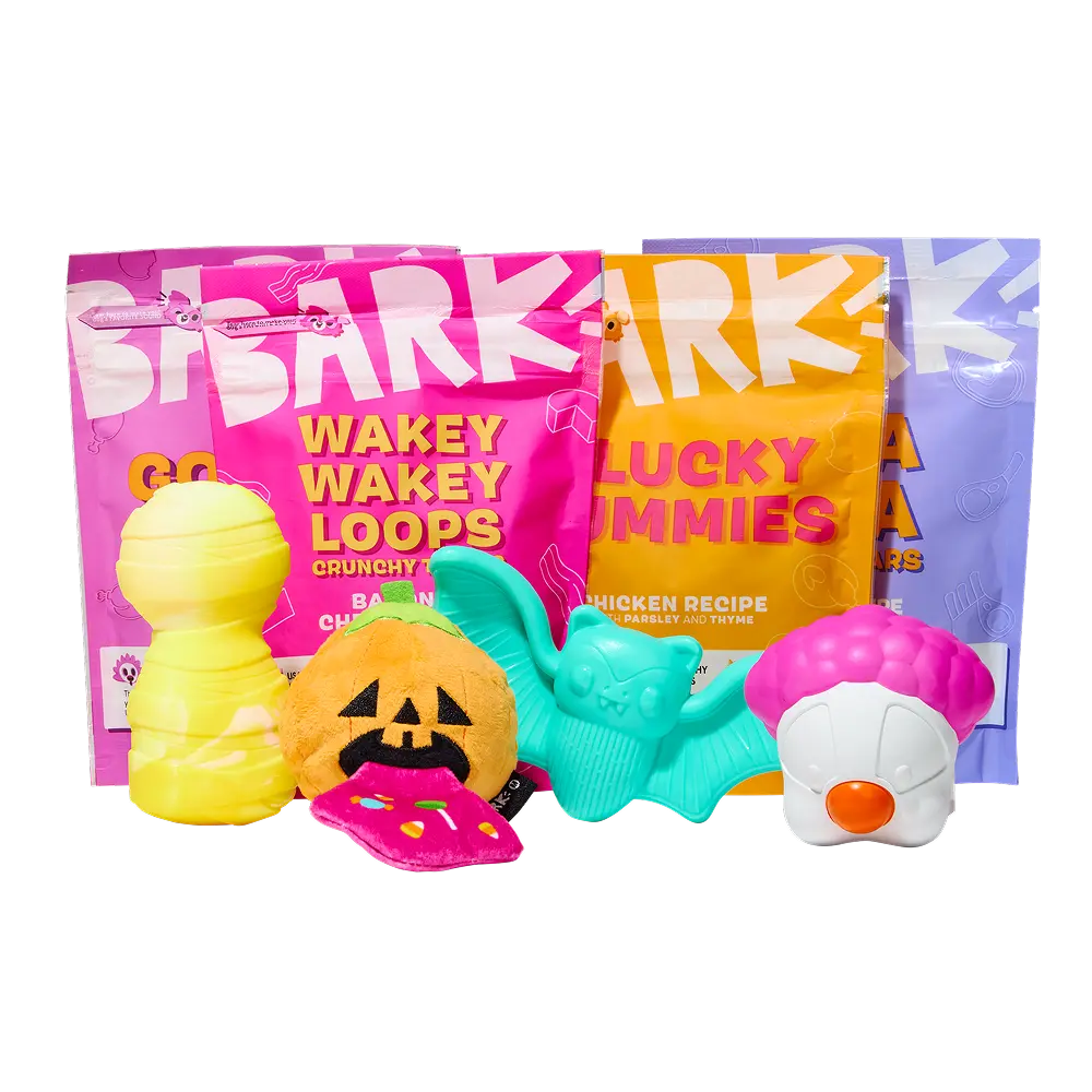 BARK Monthly Subscription + Cardboard Box