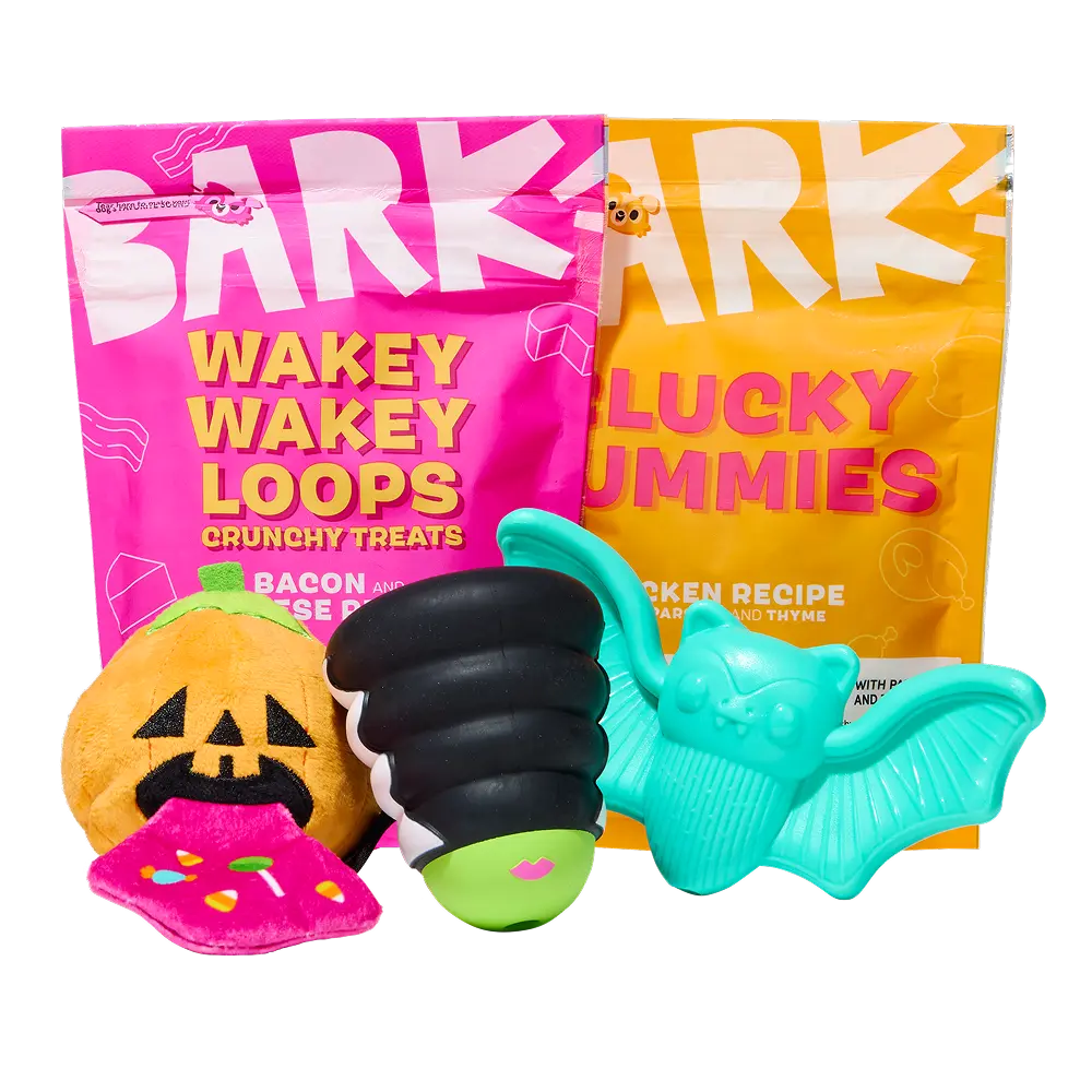 BARK Monthly Subscription + Cardboard Box