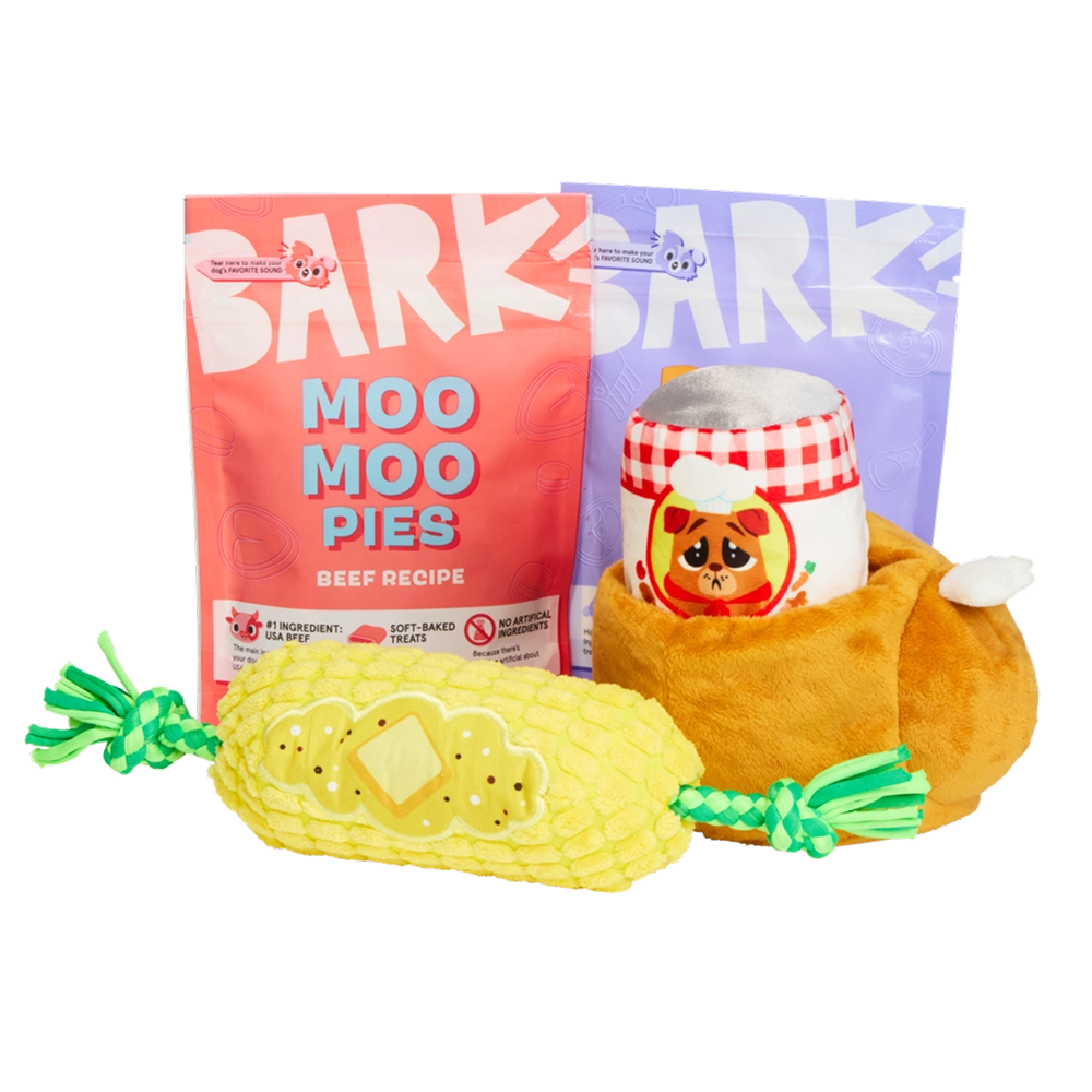 BARK 6 Month Subscription