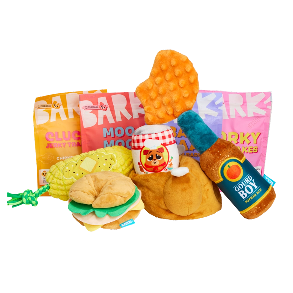 BARK 12 Month Subscription - FREE Extra Toys
