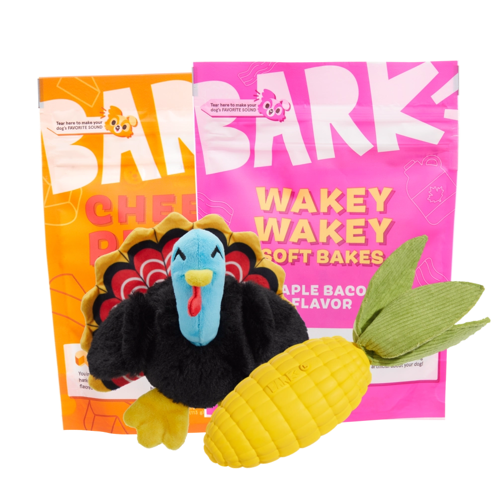 BARK 6 Month Subscription