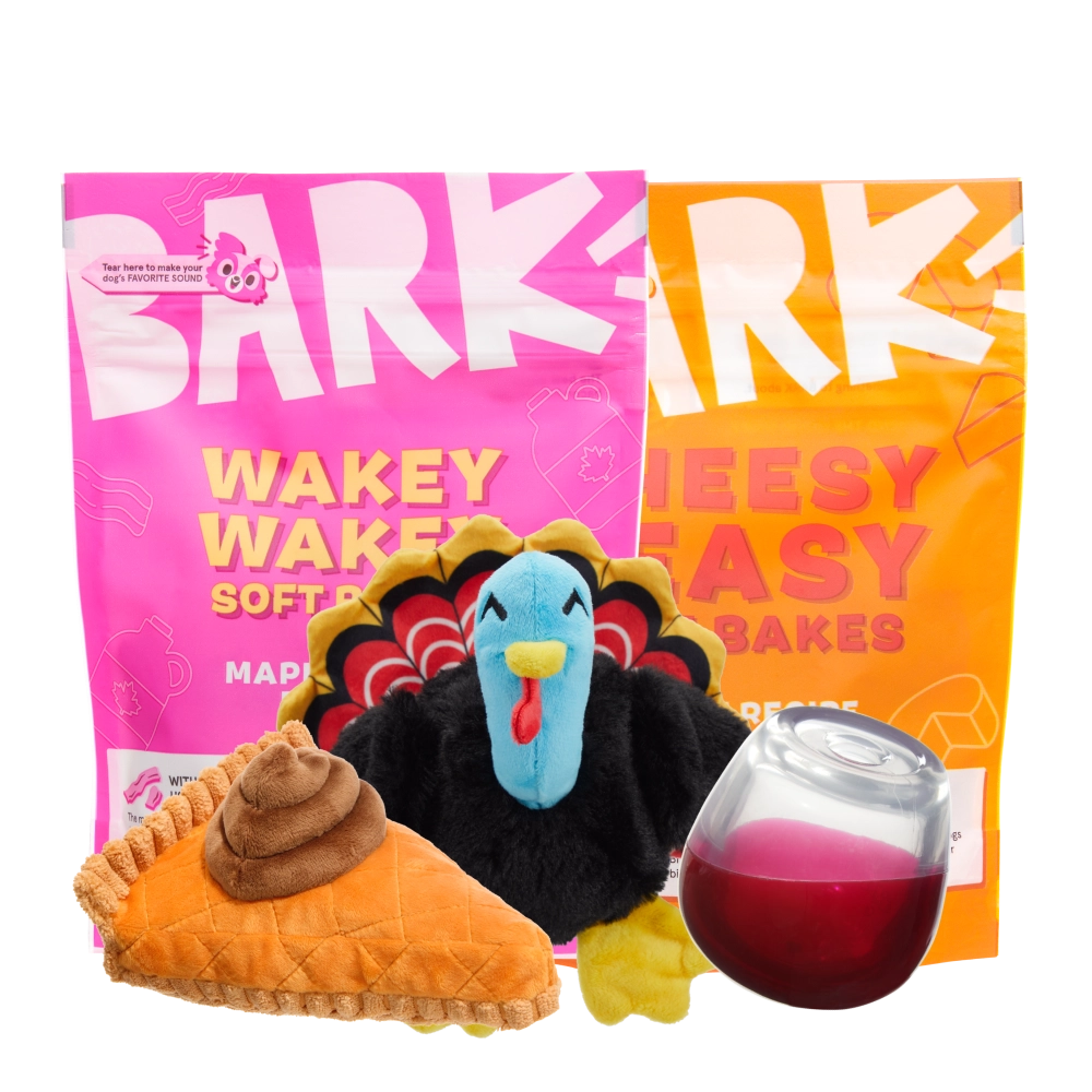 BARK 12 Month Subscription - FREE Extra Toys with Cardboard Box