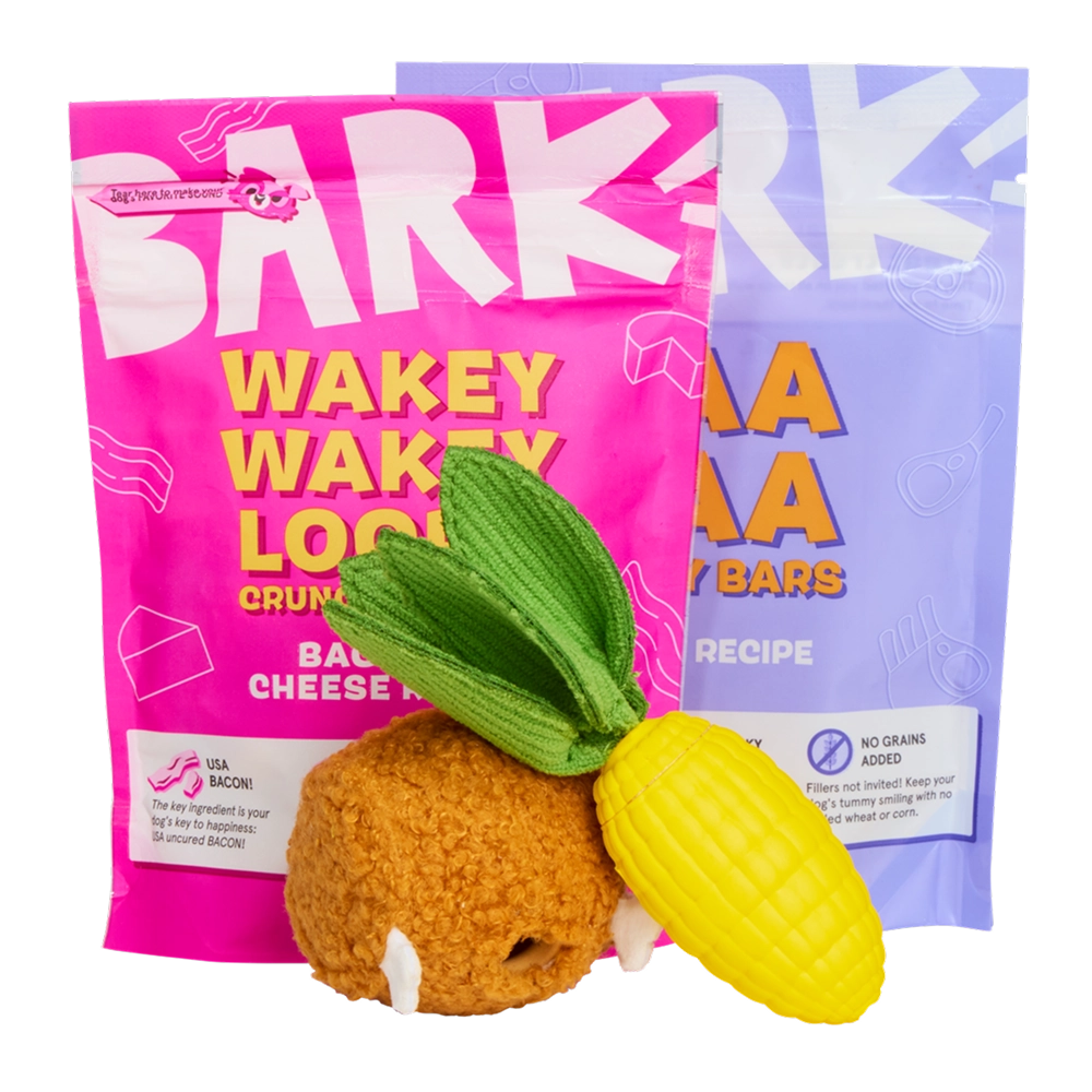 BARK 6 Month Subscription