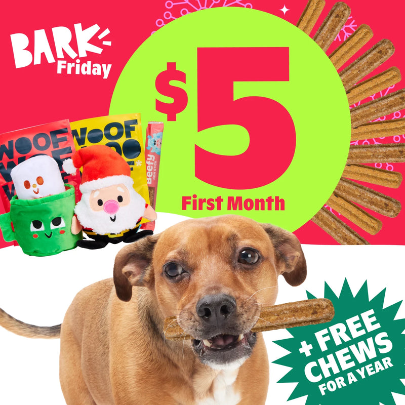 BARK Friday is Here! $5 First Month