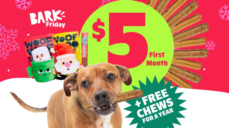 BARK Friday is Here! $5 First Month