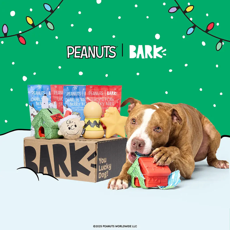 Double your Peanuts™ Christmas Delivery