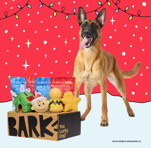 Have a very Snoopy Howliday!