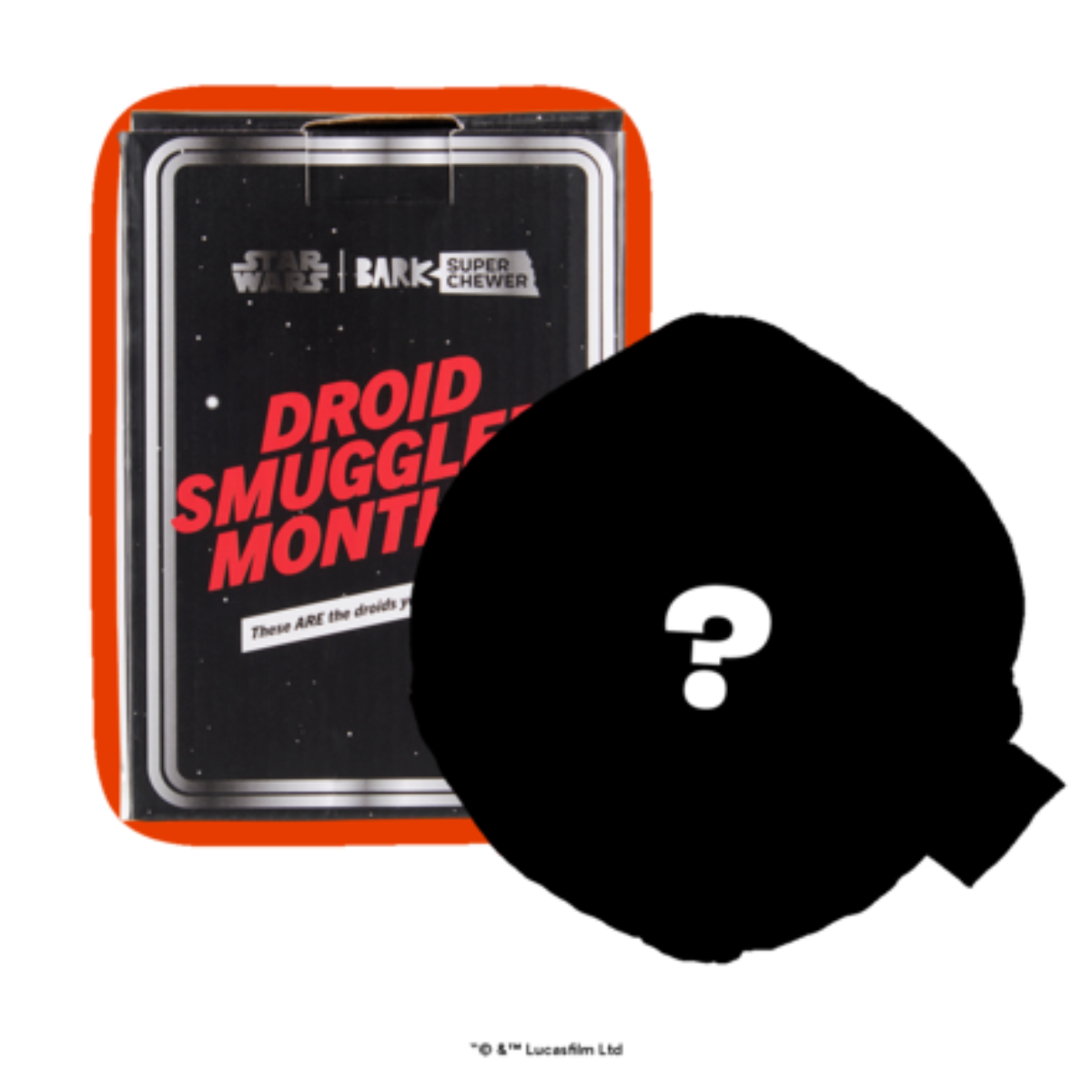 Star Wars™ Droid Smugglers Club, Super Chewer Durable Monthly Dog Toys