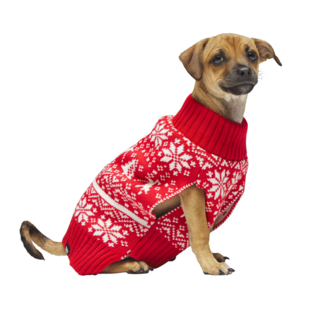 The Holiday Sweater