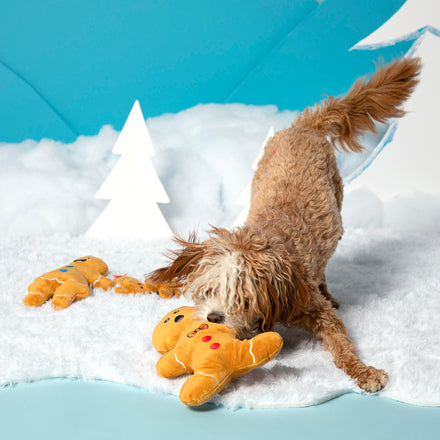 Happy Howlidays! From, The Crumbles Gift Set