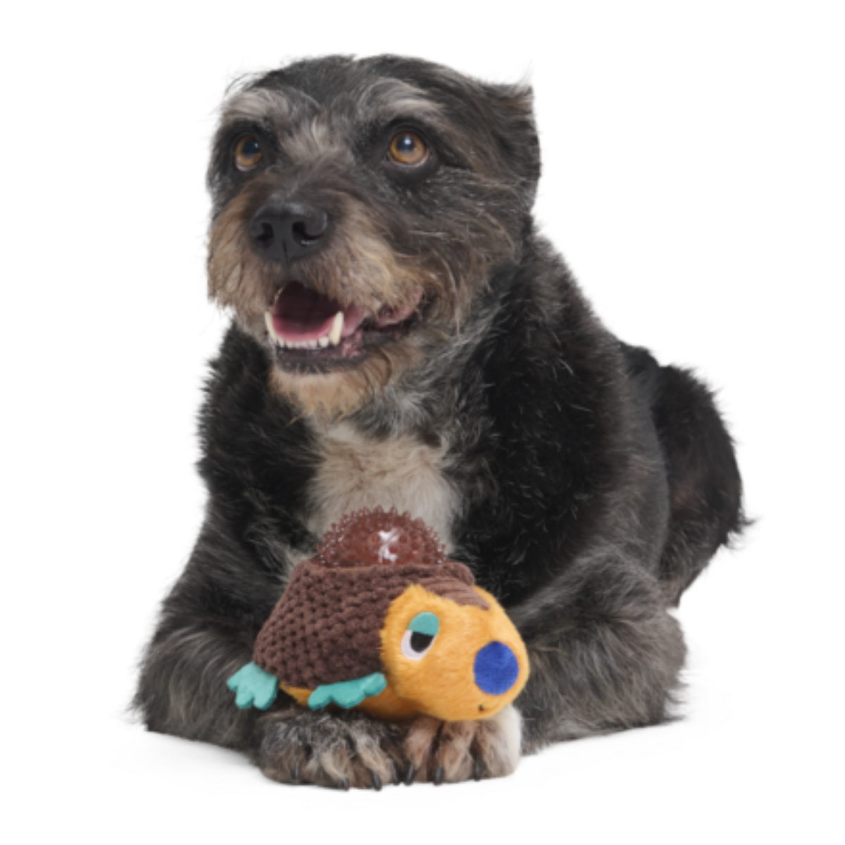 Don The Glyptodon Plush Multi-Part Dog Toy