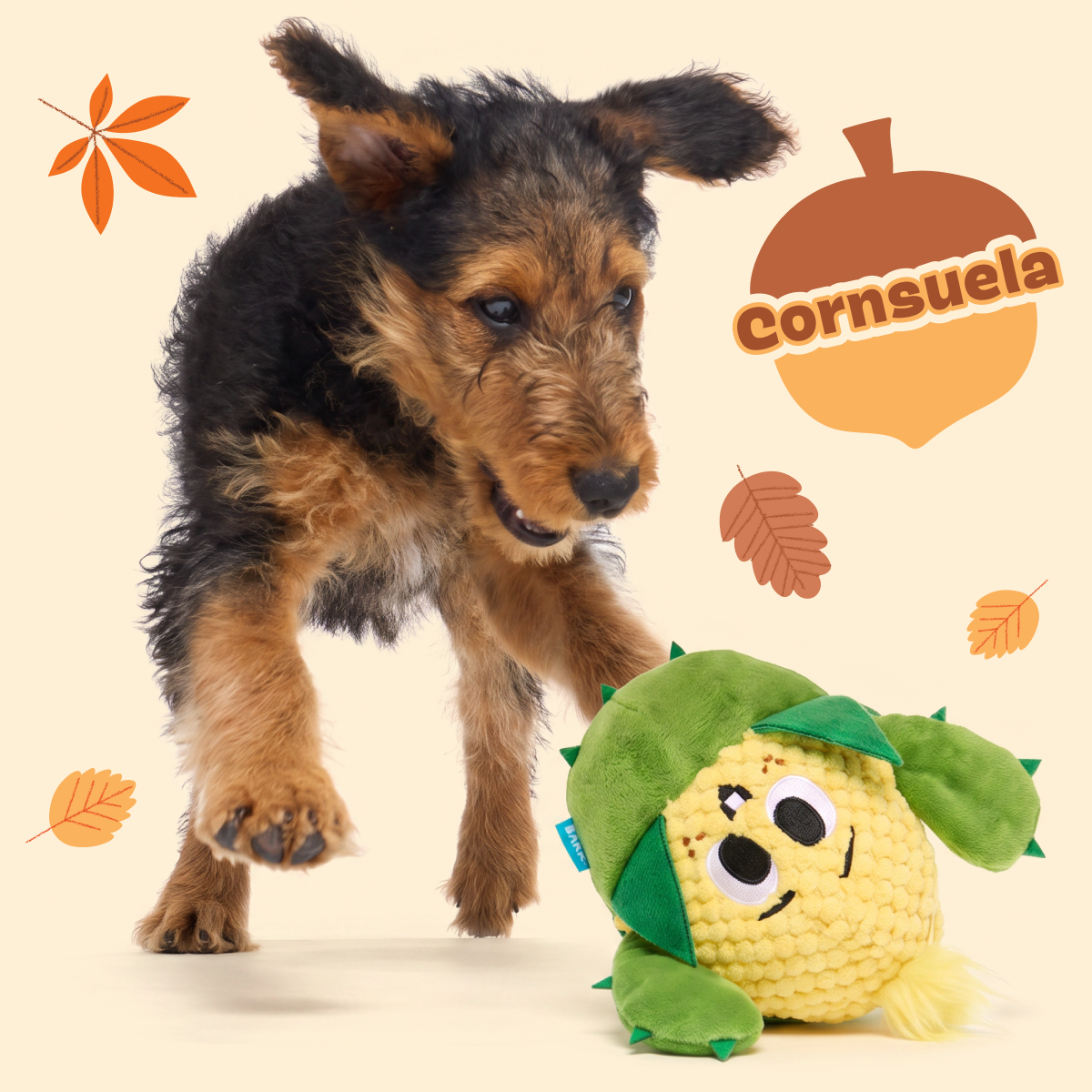 Consuela the Cactus Club, Plush 2-in-1 Monthly Dog Toys