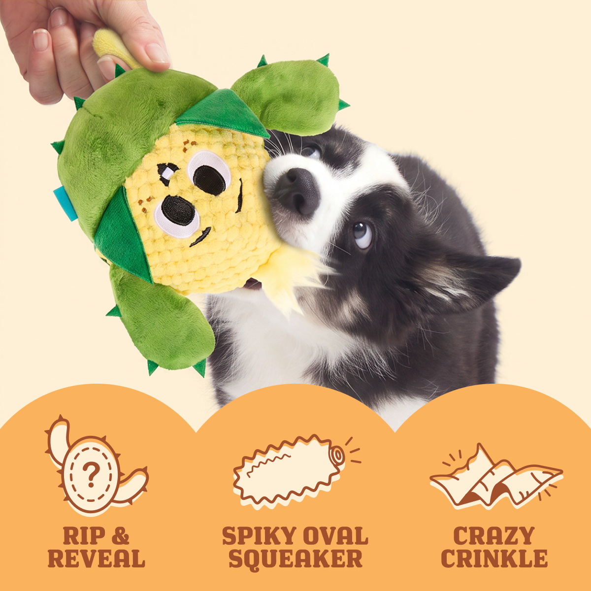 Consuela the Cactus Club, Plush 2-in-1 Monthly Dog Toys