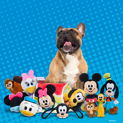 BARK 12 Month Subscription - Mickey & Friends Double Deluxe First Box