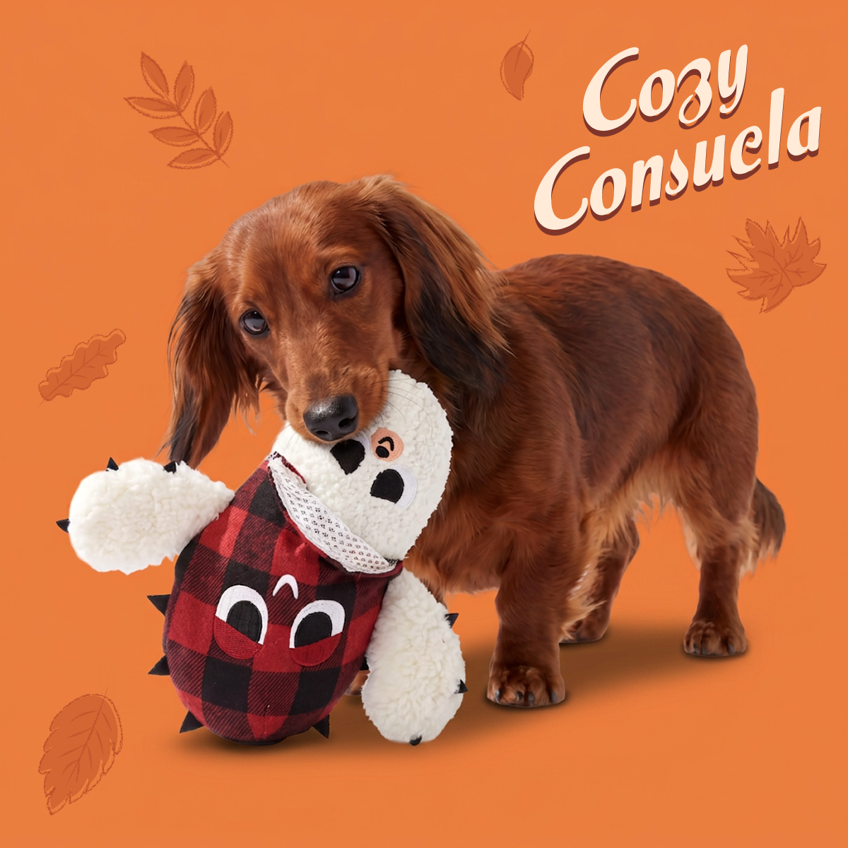 Consuela the Cactus Club, Plush 2-in-1 Monthly Dog Toys