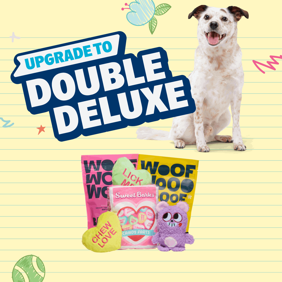 Combo Box Double Deluxe Toys & Treats Upgrade