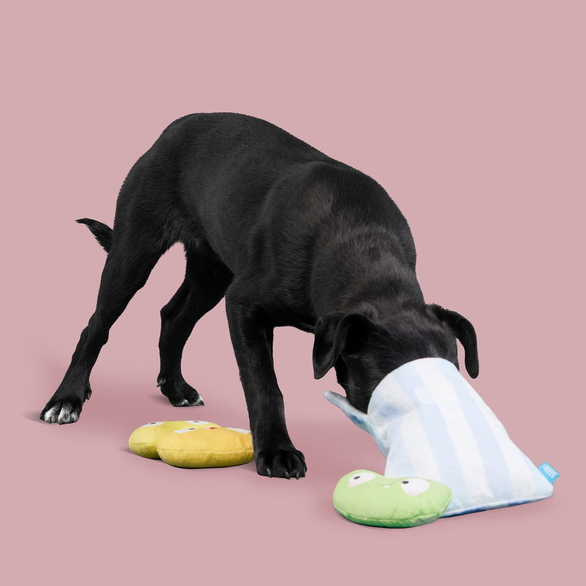 Dr. Brindlecoat's Belly Beans Plush Multi-Part + Enrichment Dog Toy