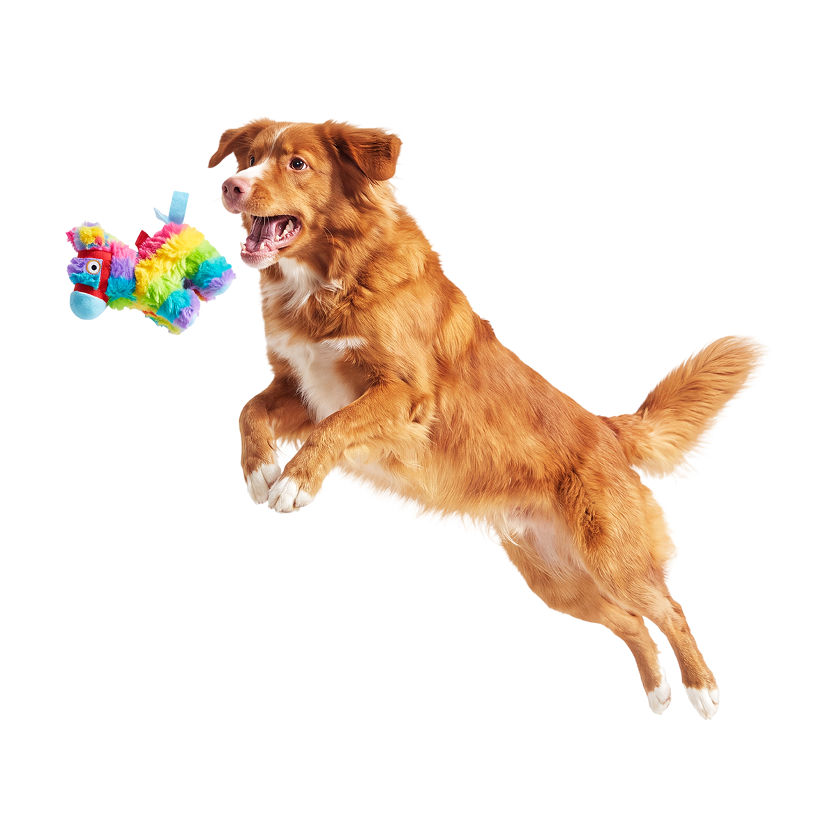 Renata Pinata Plush Tug Dog Toy