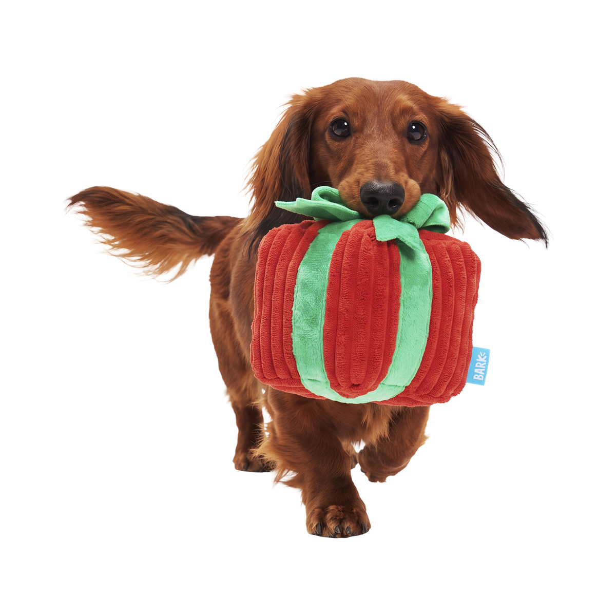 Give & Retrieve Gift Plush 2-in-1 Dog Toy