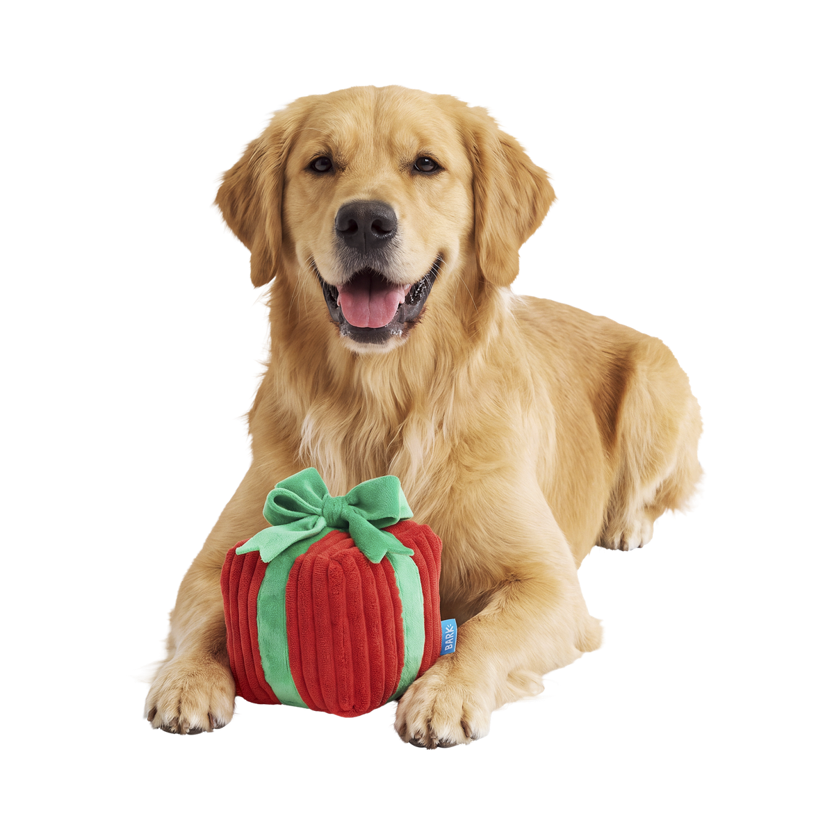 Give & Retrieve Gift Plush 2-in-1 Dog Toy