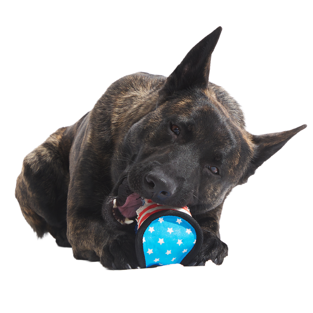 Base Brawl Super Chewer Durable 2-in-1 Fetch Dog Toy