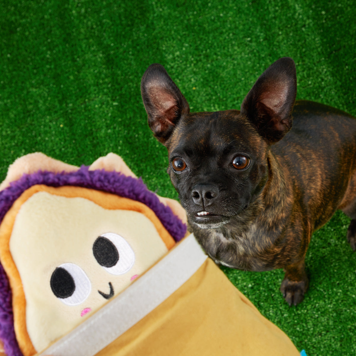 Brown Baggin' It PB&J Plush Multi-Part + Enrichment Dog Toy