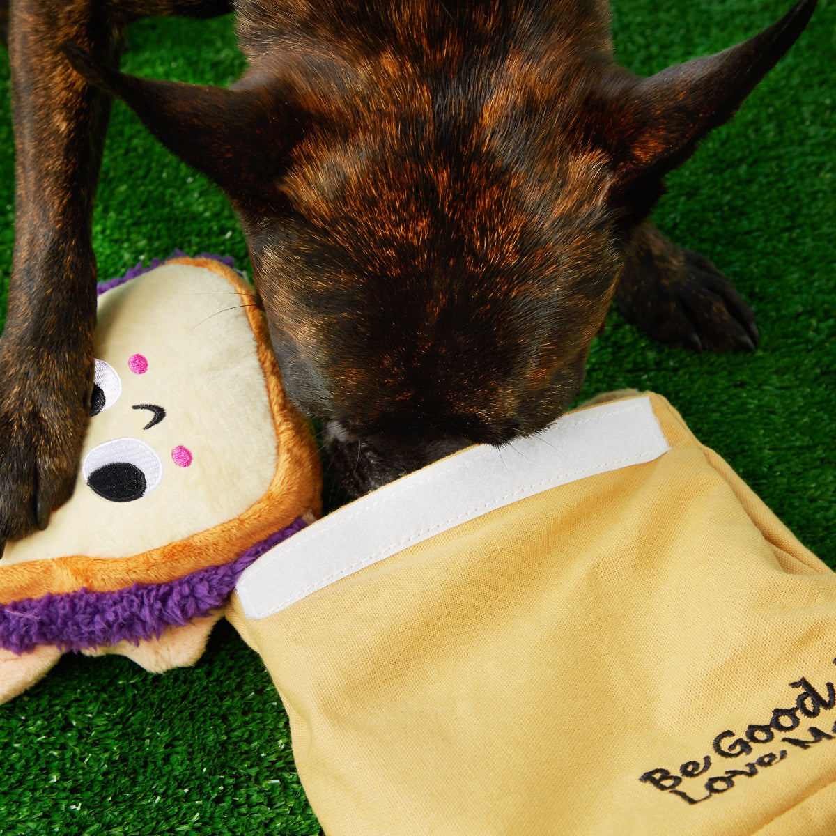 Brown Baggin' It PB&J Plush Multi-Part + Enrichment Dog Toy