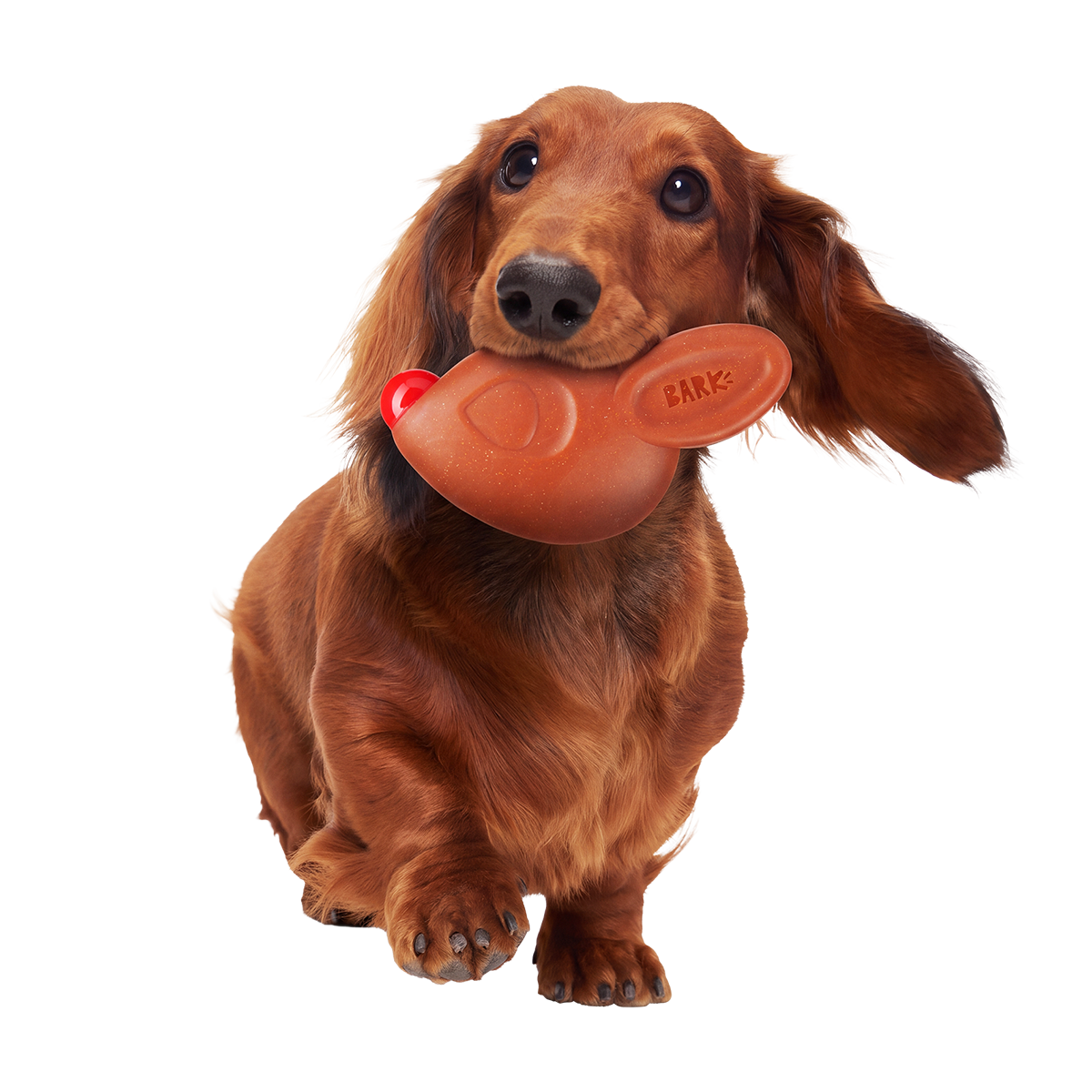 Rudolph® Chew Super Chewer Durable Gnaw Dog Toy