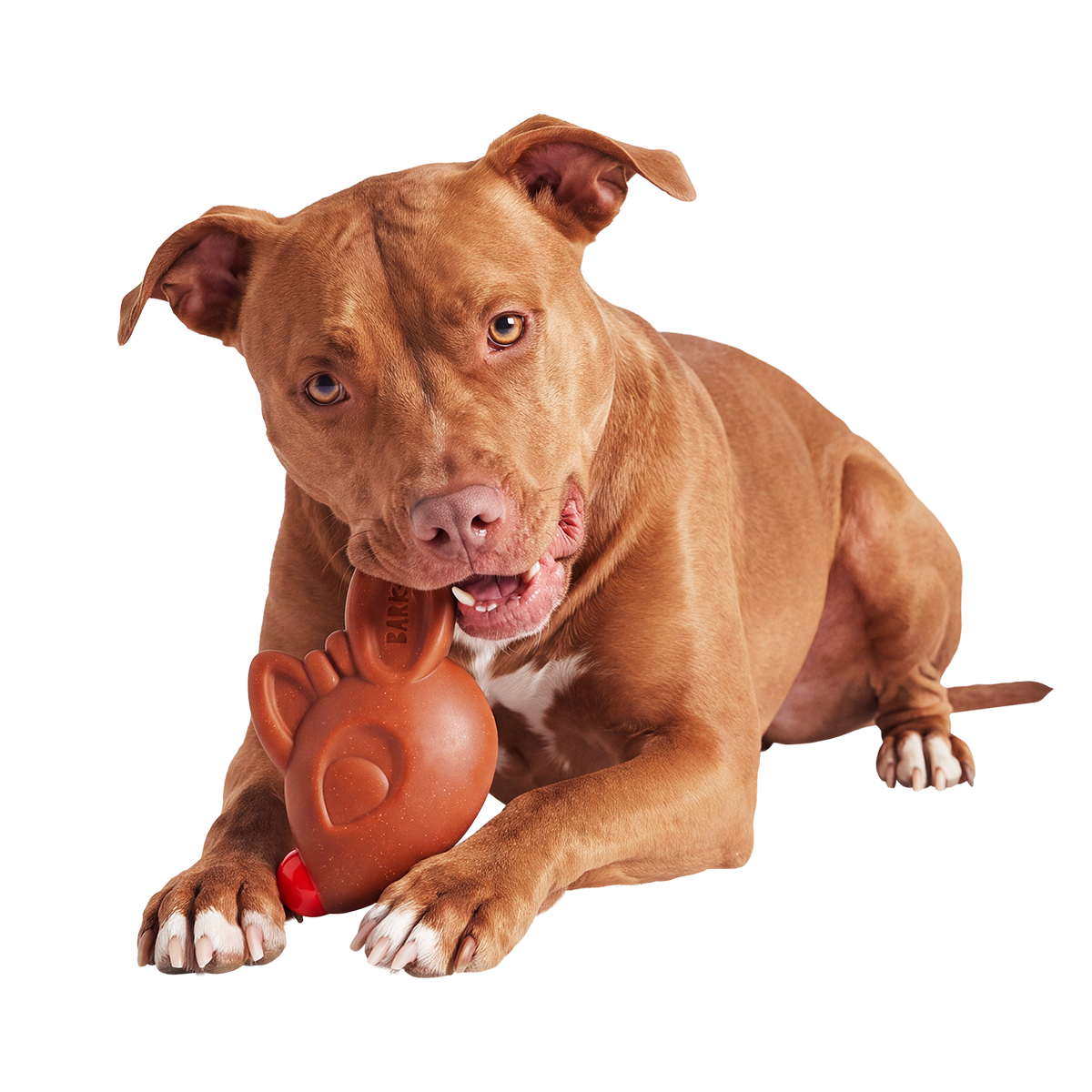 Rudolph® Chew Super Chewer Durable Gnaw Dog Toy