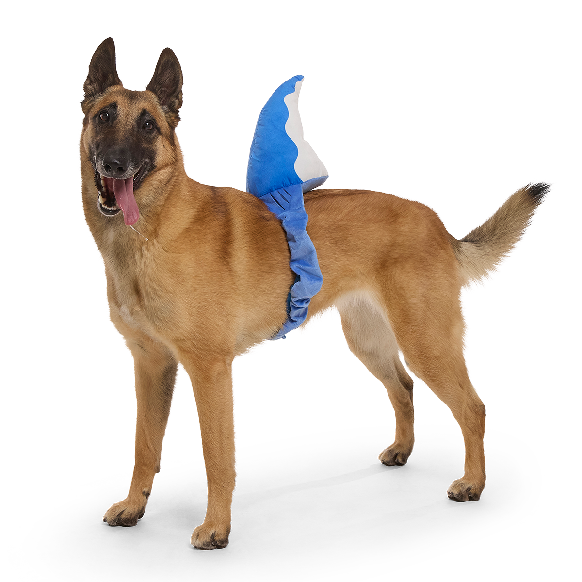Bark Fin Plush Tug + Wearable Dog Toy