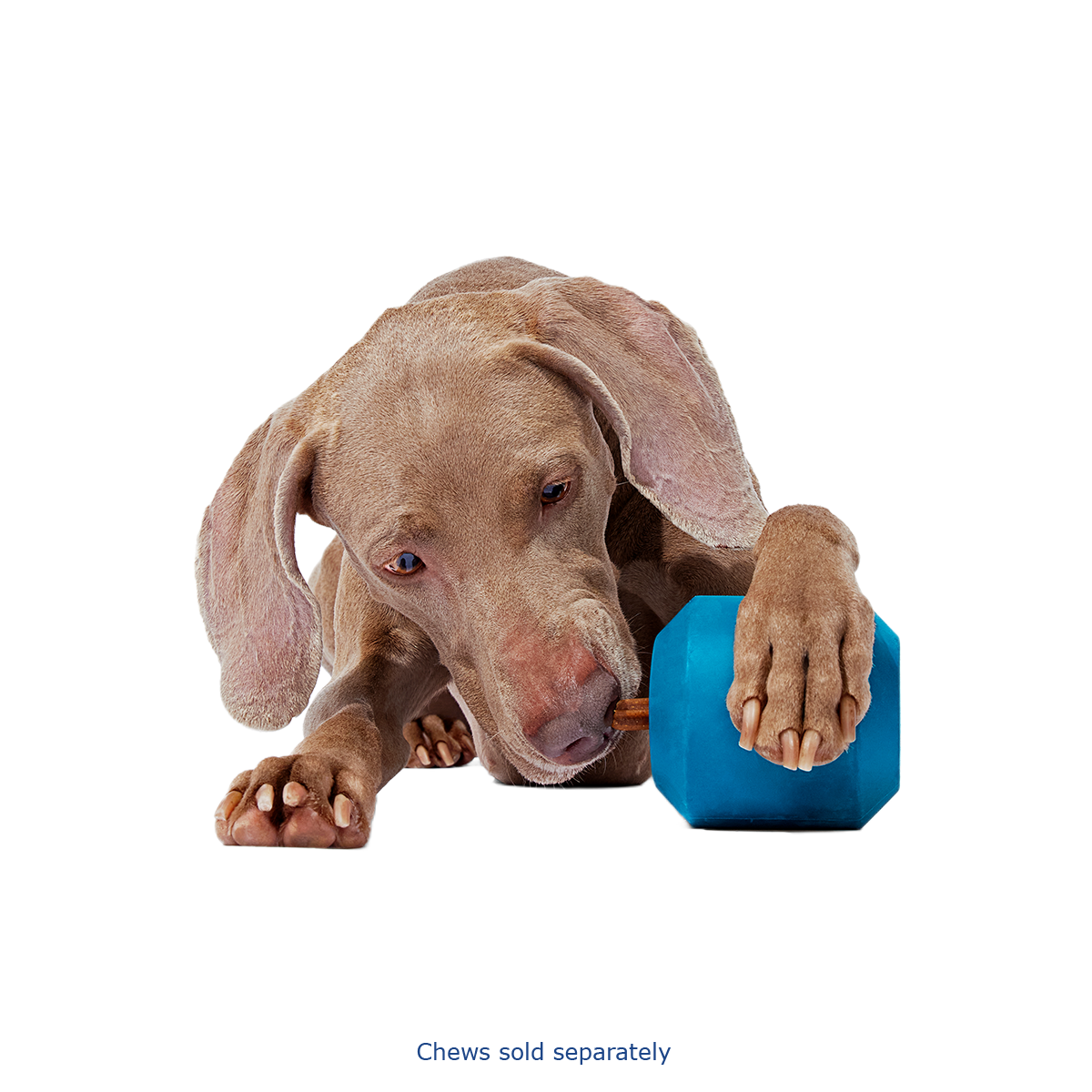 Tank Toy Super Chewer Durable Enrichment Dog Toy#Size_L