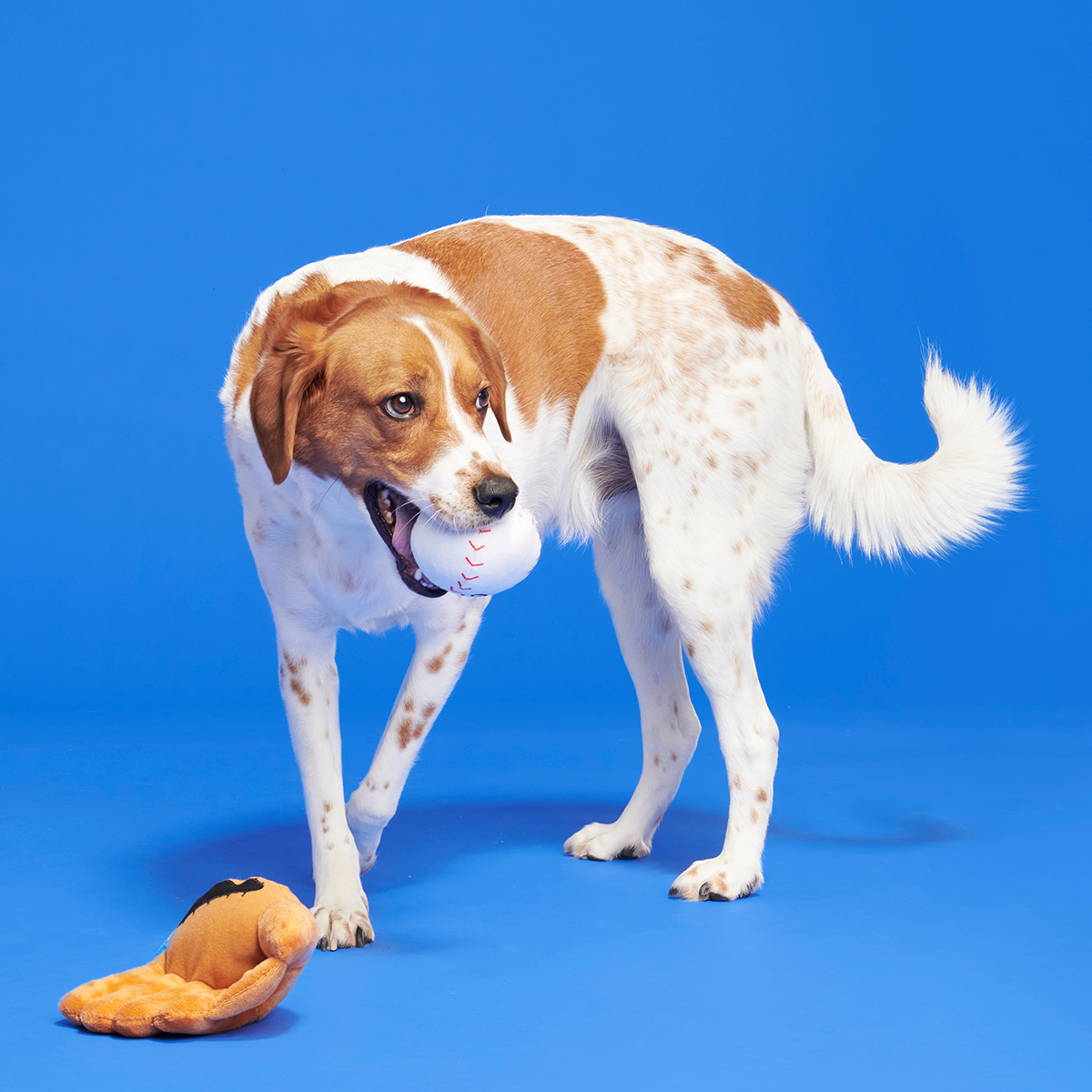 Growlings Baseball Glove Plush Multi-Part + Fetch Dog Toy