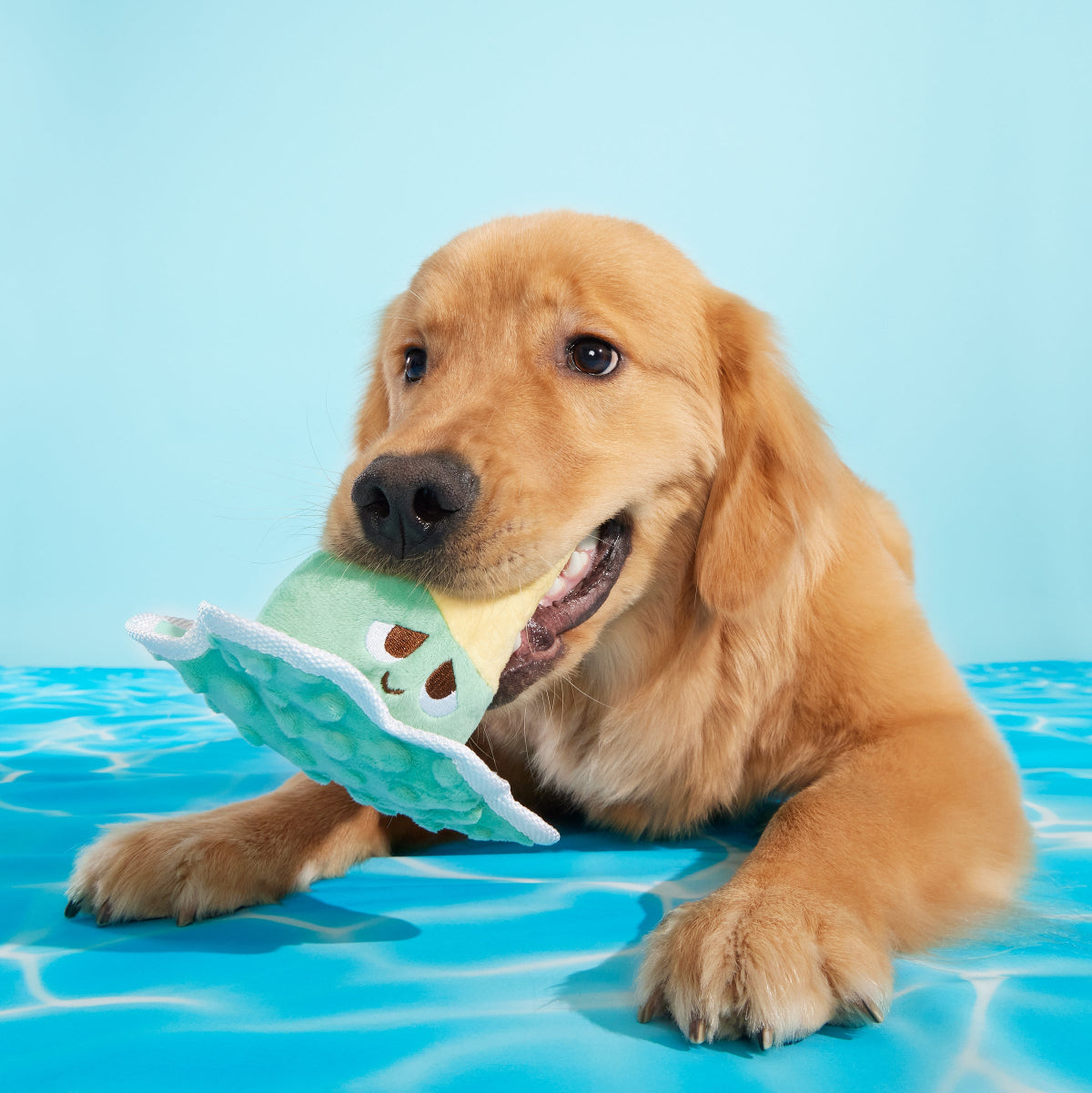 Melty Minty Monty Plush Tug Dog Toy