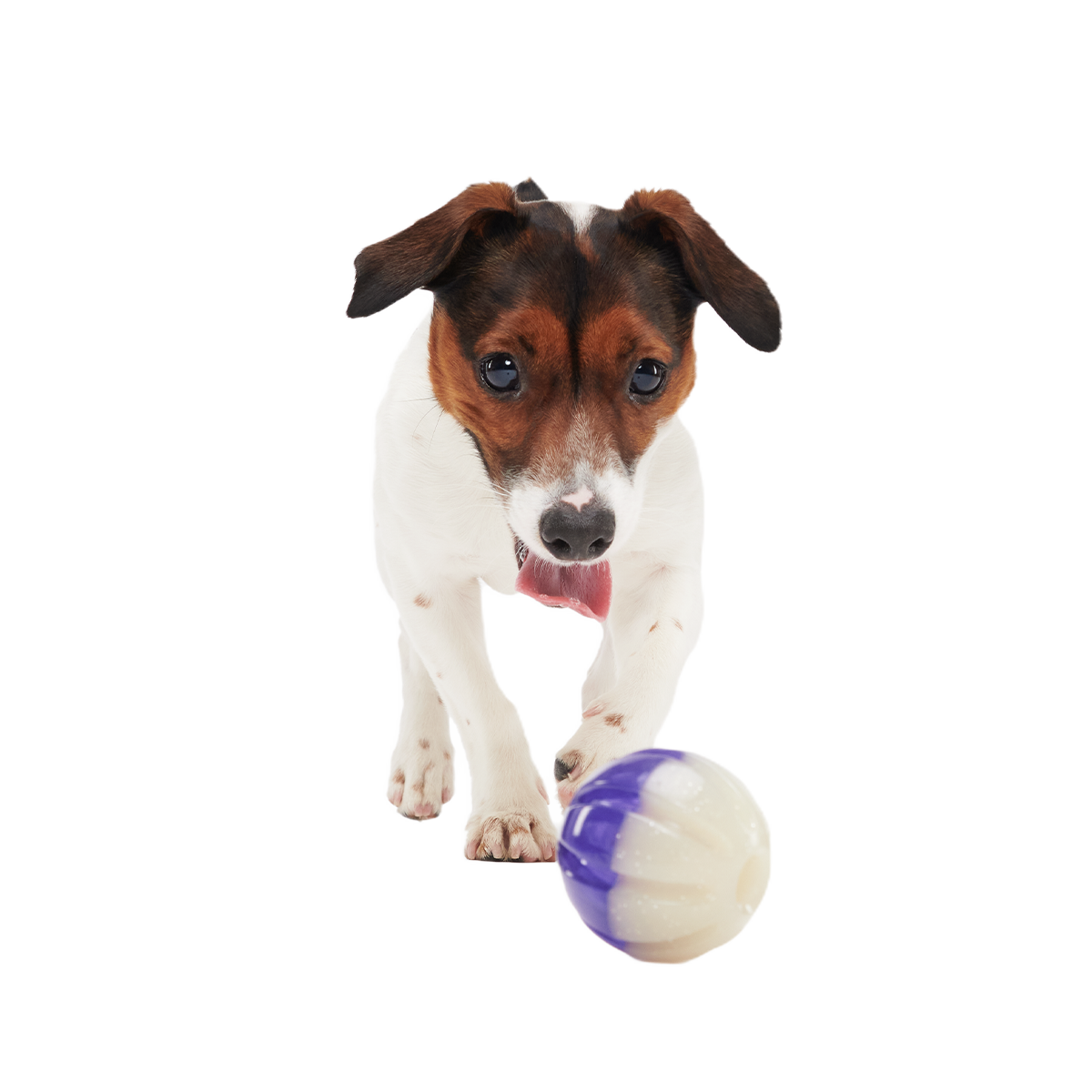Nepzoom Super Chewer Durable Enrichment + Fetch Dog Toy
